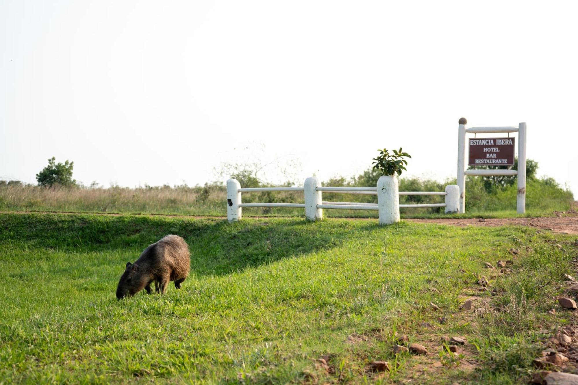 Estancia Ibera Колония-Карлос-Пеллегрини Экстерьер фото